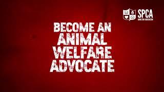 Hamilton Burlington SPCA | Advocate For Change