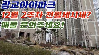 12월2주차 주간브리핑) 광교아이파크 전/월세 가격표입니다~ ㅣ 가격조정가능한 급매물도있습니다