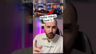 kačky riskovali život, no potom sa stalo toto