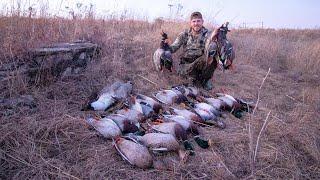 We Busted Ice And IT WORKED! | Frozen Pond Duck Hunting