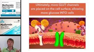 Understanding metformin, the only biguanide