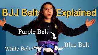 Jiu Jitsu's First 3 Belts Explained