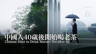 兩位資深藏家成茶友：人到40，會愛上老茶 Two Senior Collectors and Fans of Mature Tea