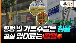 [부릿지GO]"가로수길 왜 이래요?" 공실이 절반인 가로수길, 임대료는 '억' 소리나는 이유