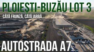 AUTOSTRADA A7 Ploiesti-Buzau Lot 3 Pietroasele-Buzău | Câtă frunză, câtă iarbă...05.11.2024