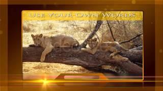 After Effects Project Files - Amazing World - Elegant Slideshow | VideoHive