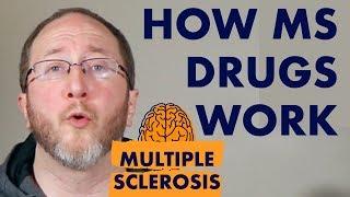 Multiple Sclerosis Medications: How MS Drugs Work [2019 Update]