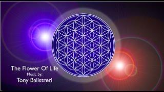 The Flower Of Life / Thrive Movement Tribute Music by Tony Balistreri