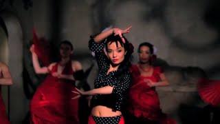 Amazing FLAMENCO || New 2020 || Must Watch