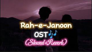 Mujhe Ishq Hua OST(Slowed + Reverb) Rah e Janoon | Danish Taimoor Komal Meer | Wajhi Farooki-HUM TV