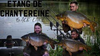 ** FRENCH CARP FISHING *LES  ETANGS DE CHANTEREINE BACK LAKE