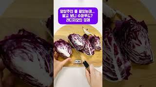 양상추인 줄 알았는데… 알고 보니 슈퍼푸드? 라디치오의 정체 #라디치오 #항산화식품