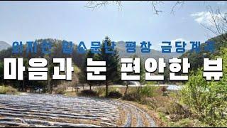 [평창토지] 평창 금당계곡 도시인 선호 땅 ! 마음과 눈 편안한 뷰 접근성 양호(430평) 평창부동산 평창전원주택 평창농가주택 평창시골집 강원도토지  강원도땅