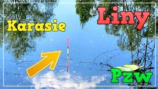 Spławik!!!  Liny i Karasie z PZW