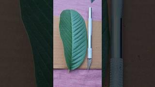 leaf cutting art carving art L letter #sandeep #artist #shorts #leaf #carving #viralvideo #trending