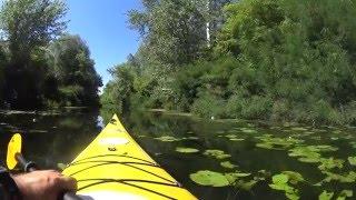 Canoe Trip at Kiev