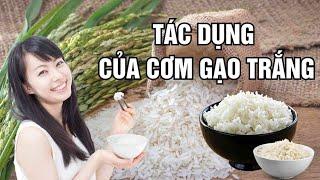 4 tác dụng đáng ngạc nhiên của cơm trắng | Báo Lao Động