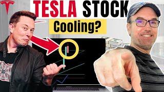 Tesla Stock : Time to panic or to manage?