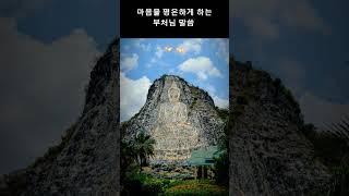 부처님의 한 말씀으로 마음을 비우세요