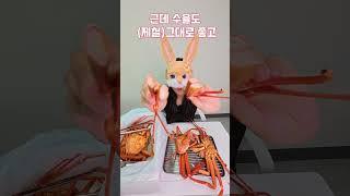 오늘의 꿀팁 !