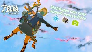 We are FLYING through Tears of the Kingdom Randomizer
