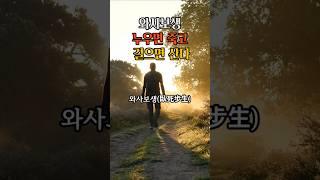 누우면 죽고 걸으면 산다 #와사보생 #명언 #인생조언 #삶의지혜 #걷기 #산책 #명상 #힐링