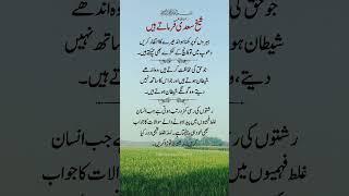 Shekh Saadi R.A Farmate Hai | Motivational Quotes in Urdu By Ishtiyaque Ahmed #shortsfeed #shorts