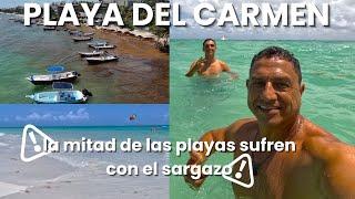Playa del Carmen, la mitad de las playas sufren el sargazo y la otra no, esta el mar bonito,1 abril