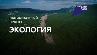 Национальный проект: Экология