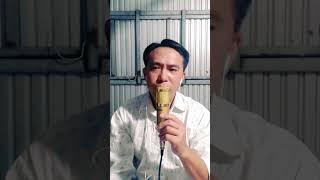 #Nhánh Mù U Con Bướm Vàng quanh quẩn...#Na Hồng cover