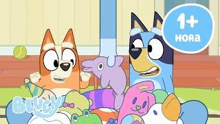 EN VIVO: Los juguetes favoritos de Bluey y Bingo | Bluey