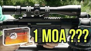 Can You Get 1 MOA Groups from Wolf Ammo?
