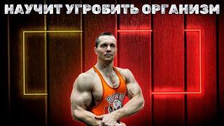 АЛЕКСЕЙ ШРЕДЕР УЧИТ КАК УГРОБИТЬ ЗДОРОВЬЕ РАЗОБЛАЧЕНИЕ