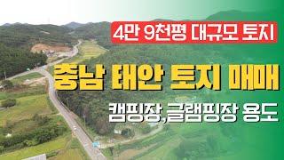 충남 태안토지매매.태안부동산. 캠핑장 부지.약 4만 9천 평. 삼거리 대로변(신두리 사구, 학암포 해수욕장 갈림 길)