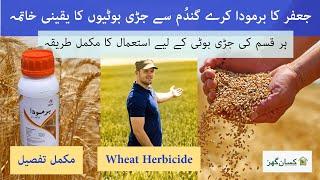 Bermuda Herbicide is best for all types of weeds control  in wheat Crop | Jaffer agro | kissan Ghar