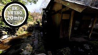 20 Min Meditation Watermill and clear stream VR180 8K Binaural ASMR