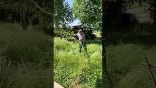 #reaping the “lawn” #nomow #reapingscythe