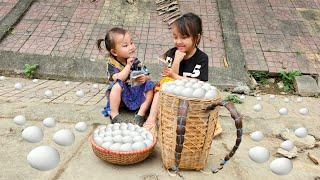 Two poor sister sells eggs chicken to earn money to buy food for her mother