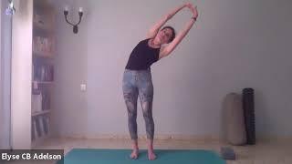 VINYASA YOGA  -  FUNCTIONAL FLOW -  FINDING OUR BALANCE