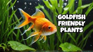 Best Plants for Goldfish (That They Won't Destroy!)