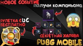 СЕКРЕТНАЯ ХАЛЯВА В PUBG MOBILE| НОВОЕ СОБЫТИЕ ПОЛУЧИ КОМПАНЬОНА| ХАЛЯВА ЧЕРЕЗ VPN PUBG MOBILE