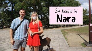 Japan's Best Day Trip - NARA | Japan Travel Vlog