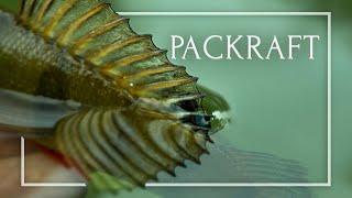 WILD FISH STORIES presents | Packraft