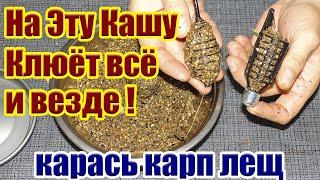 Клюет все и везде! Правильная Каша на Карася Карп Лещ Рыболовная насадка для карася