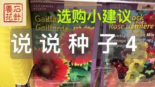 [石针养花]育苗选种子4 （红地毯菊，蜀葵花）