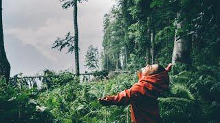 Captivating Rainfall Overhead in Bamboo Haven Bamboo Bliss: Rainfall Overhead Experience ️