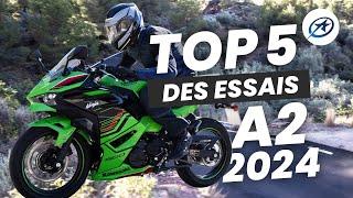 Top 5 des essais 2024 - A2