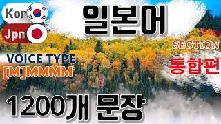 일본어 / Type [M] M M M M [통합편] 원어민 발음. 짧고 쉬운 1,200(4.5 hr) 문장 연속 듣기.  / 생활 회화. 식당. 교통. 쇼핑. 호텔. 공항.