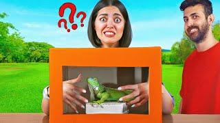 چالش حدس بزن تو جعبه چیه با حیوونای واقعی  WHAT'S IN THE BOX