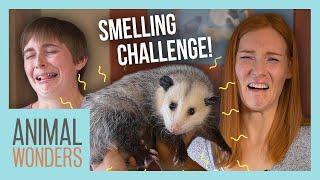 Guess That Animal By Smell Challenge!